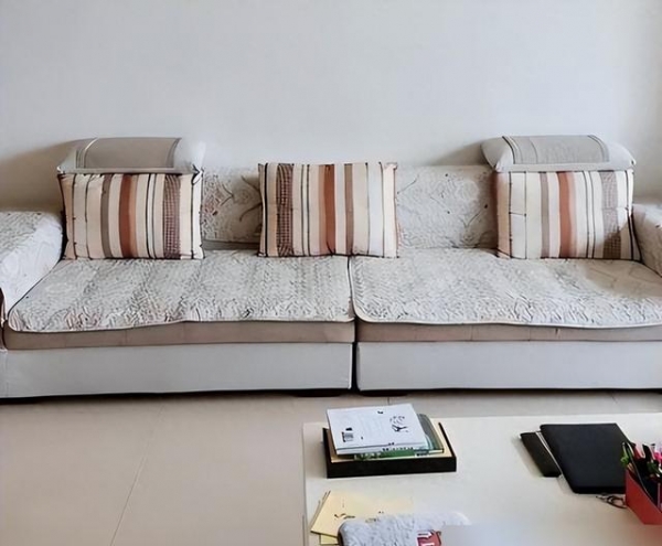 国家庭？建议学年轻人这么做那叫一个高级！j9九游会真人第一品牌客厅“沙发”退出中(图4)