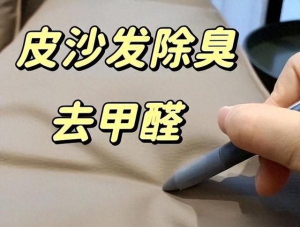 国家庭？建议学年轻人这么做那叫一个高级！j9九游会真人第一品牌客厅“沙发”退出中(图1)