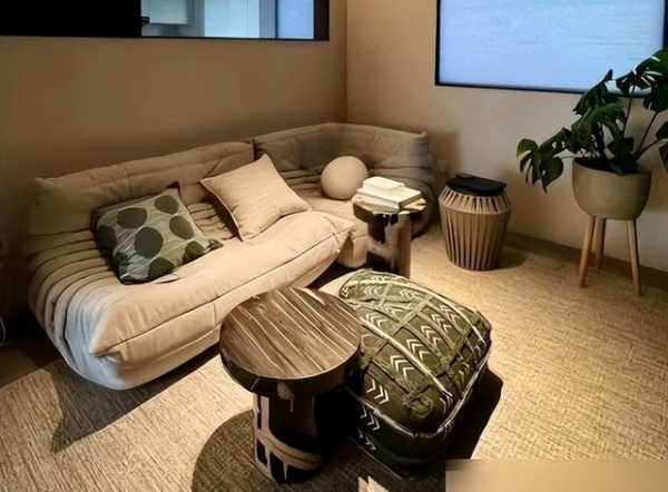 国家庭？建议学年轻人这么做那叫一个高级！j9九游会真人第一品牌客厅“沙发”退出中(图8)